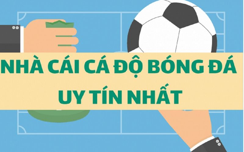 web cá cược bóng đá